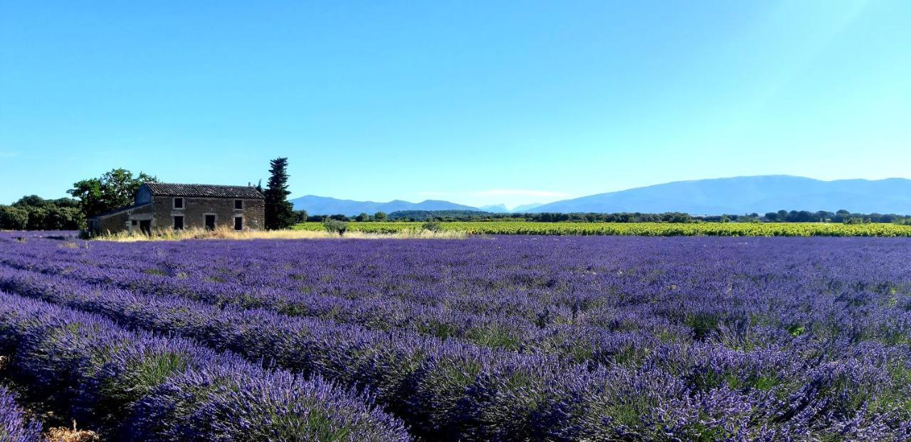 Valréas L'Instant Provence 빌라 외부 사진