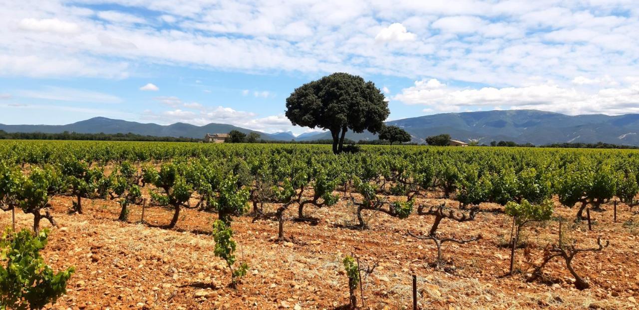 Valréas L'Instant Provence 빌라 외부 사진