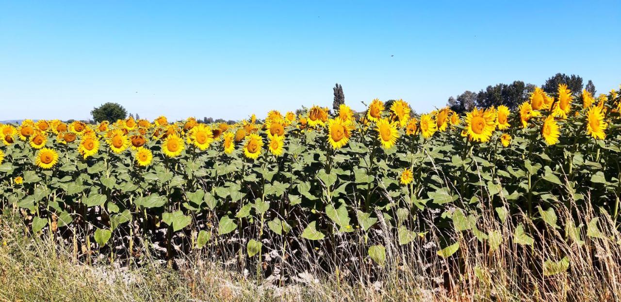 Valréas L'Instant Provence 빌라 외부 사진